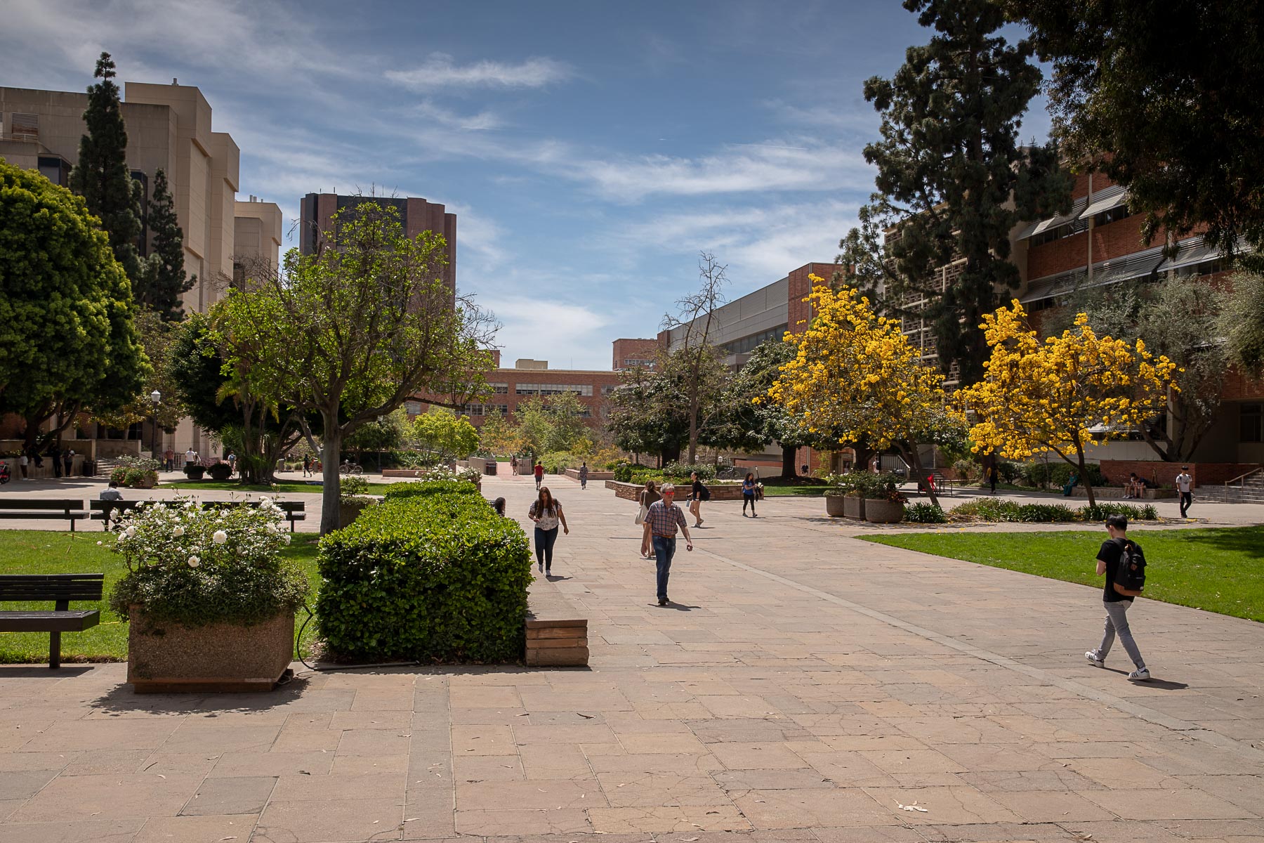 UCLA Court of Sciences Compass Life Science UCLA Court of Sciences Compass Life Science