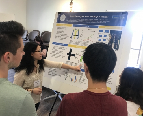 UCLA MARC U STAR Program