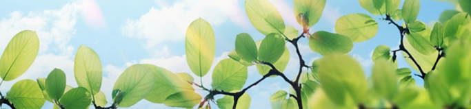 Counseling and Psychological Center Counseling and Psychological Center